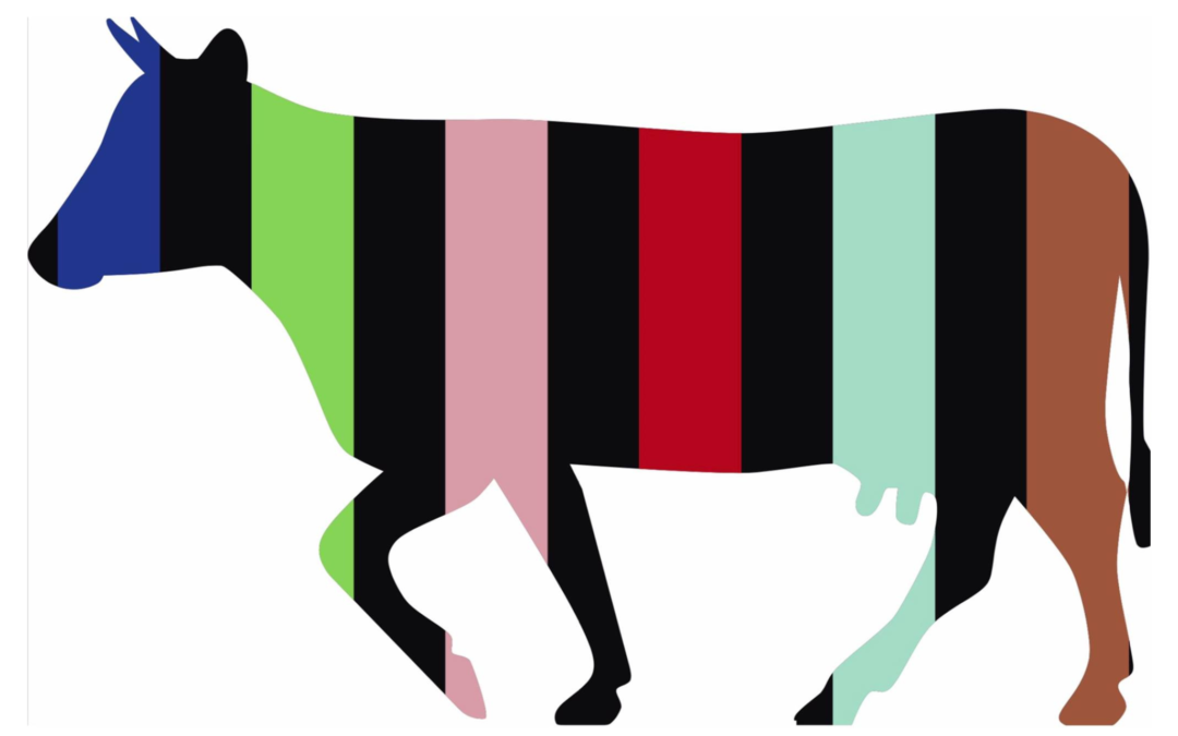 Striped Cow